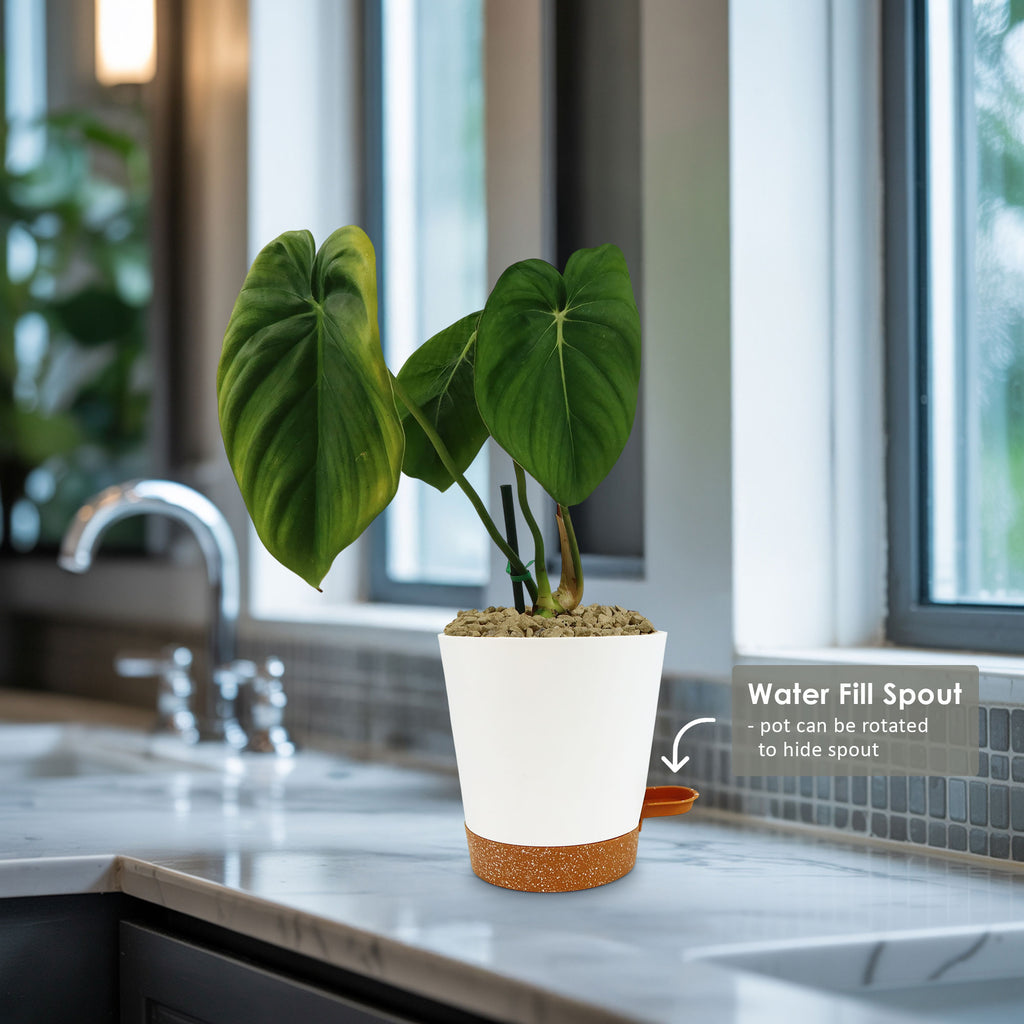 patrol_placeholder_a6ead9acc5af34cb22c78a05ed144ef7