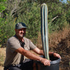 Brazilian Blue Cactus - Blue Columnar Cactus &