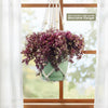 Pink Panther Plant - Tradescantia &