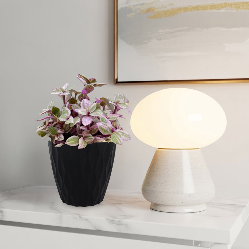 patrol_placeholder_a6ead9acc5af34cb22c78a05ed144ef7