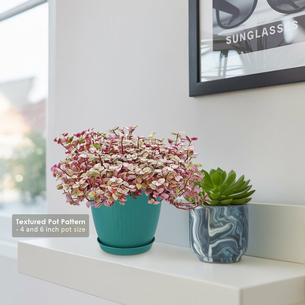 patrol_placeholder_a6ead9acc5af34cb22c78a05ed144ef7