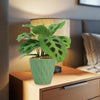 A Prayer Plant (Maranta leuconeura) on a wooden bedside table adds pet-friendly greenery beside a lamp and bed with gray bedding.