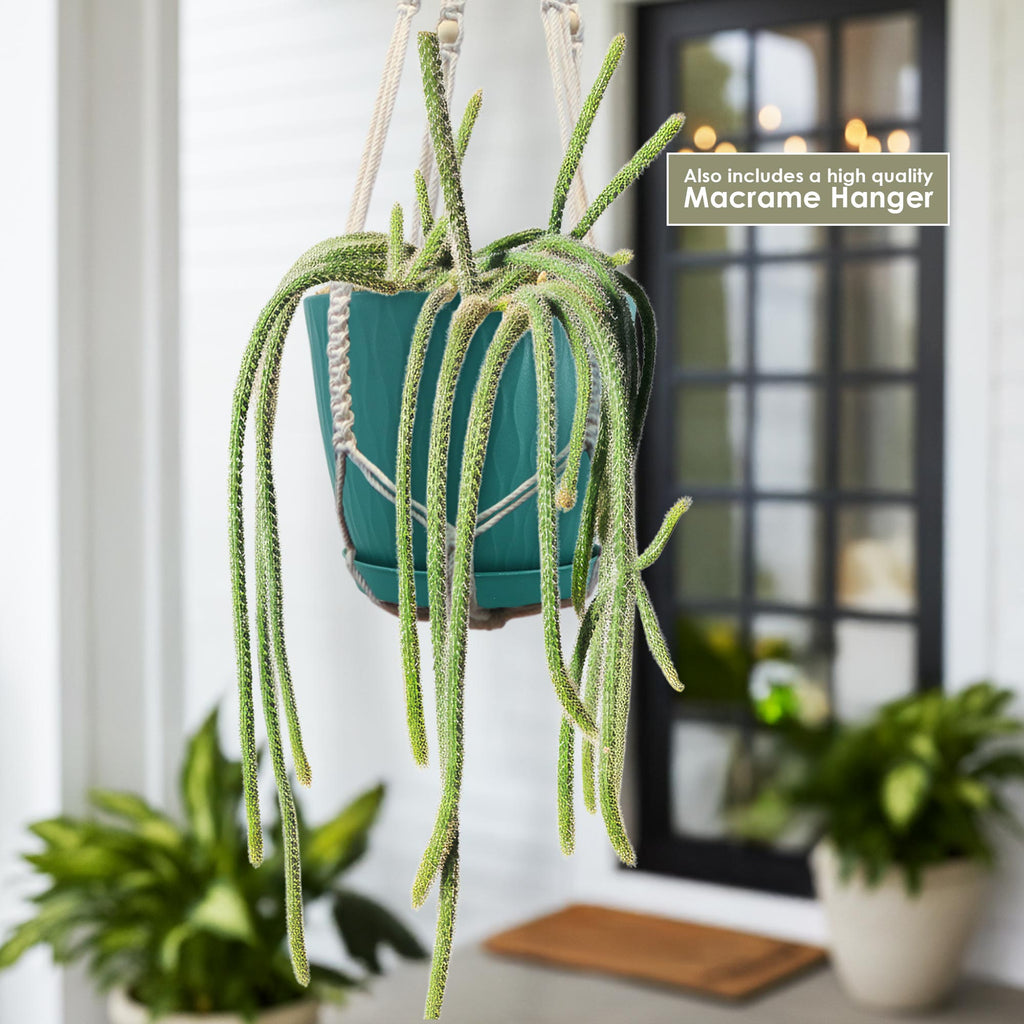 patrol_placeholder_a6ead9acc5af34cb22c78a05ed144ef7