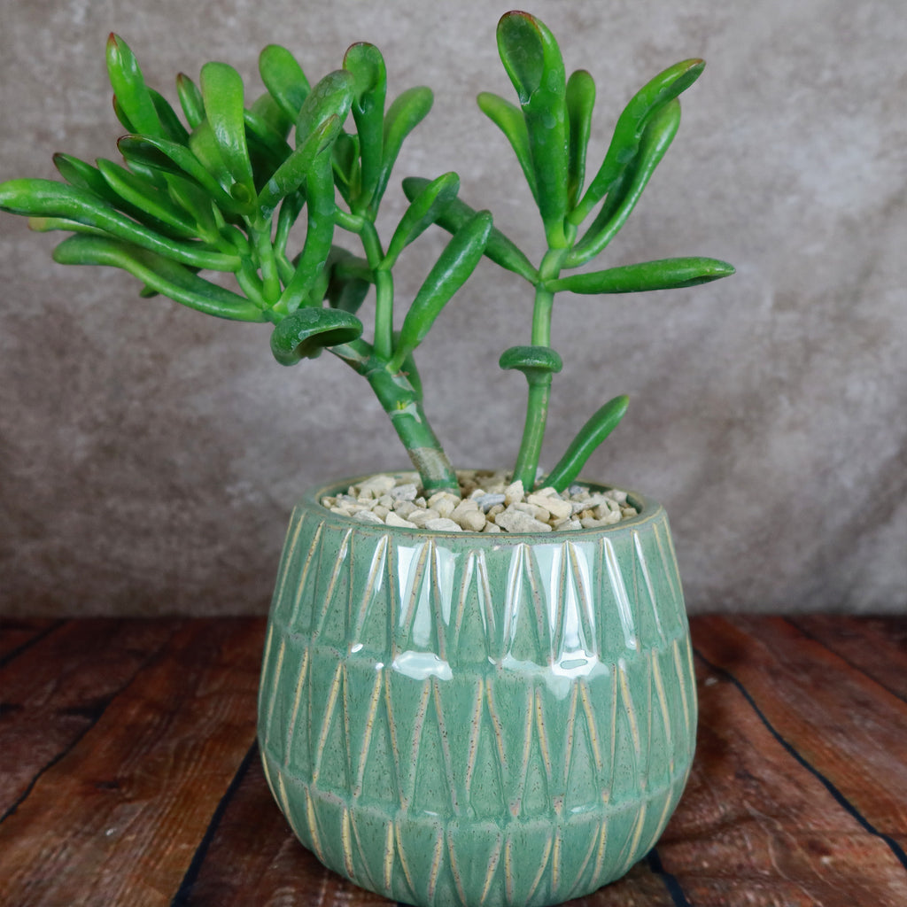 Triangular Print Reactive Glazed Pot