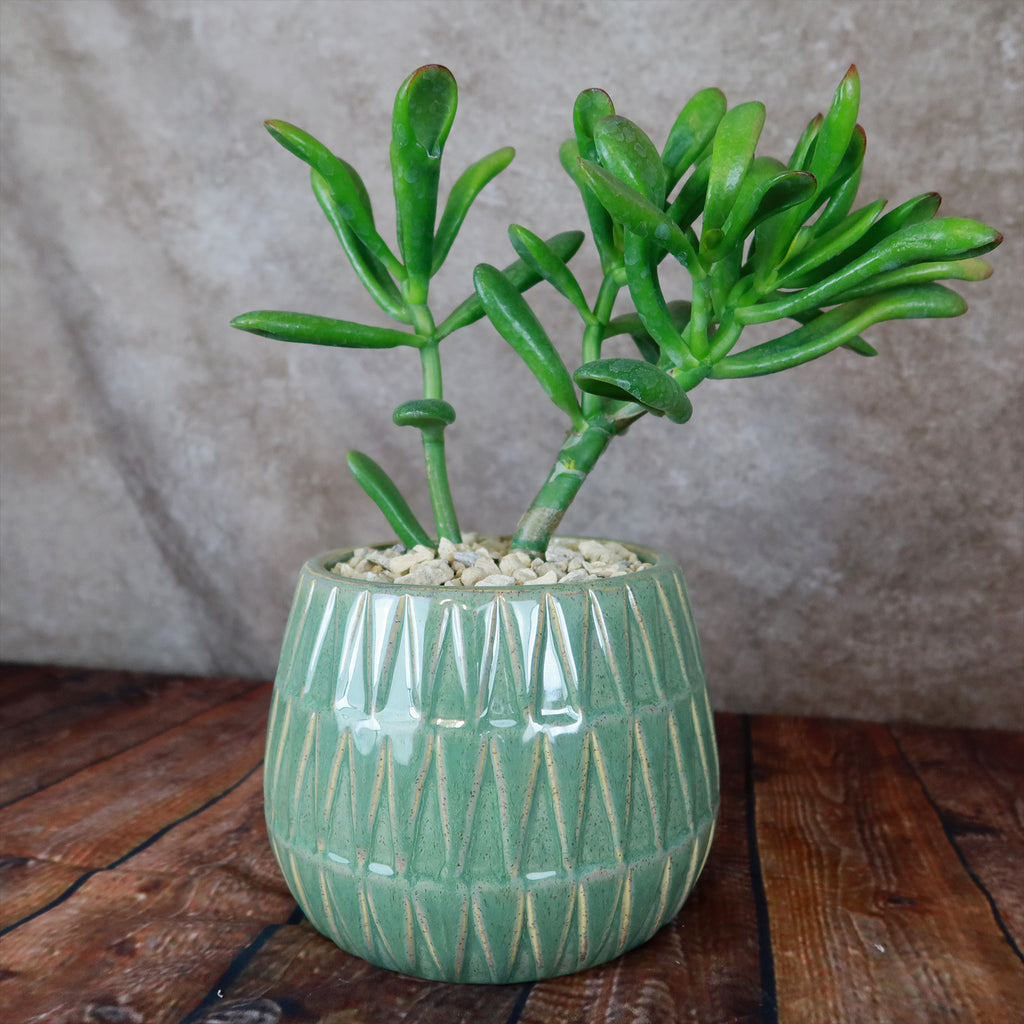 Triangular Print Reactive Glazed Pot