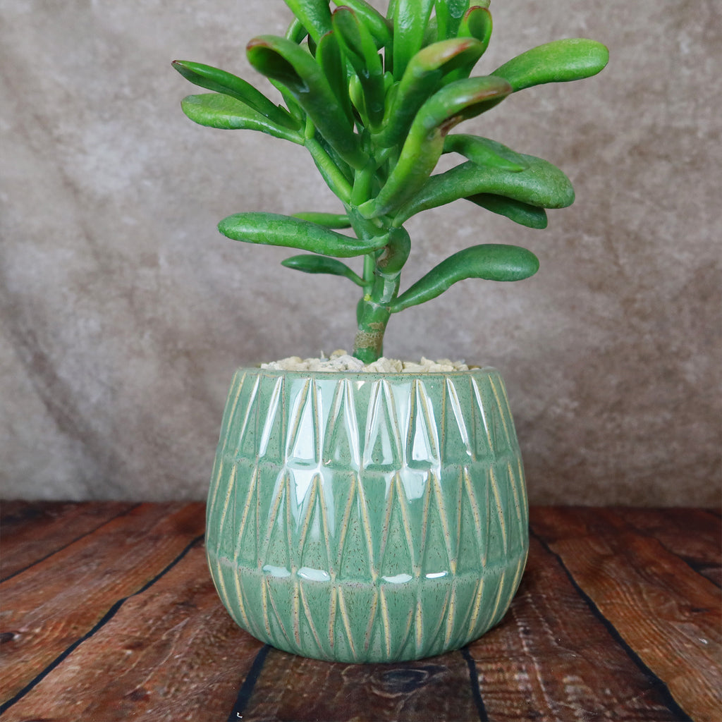 Triangular Print Reactive Glazed Pot