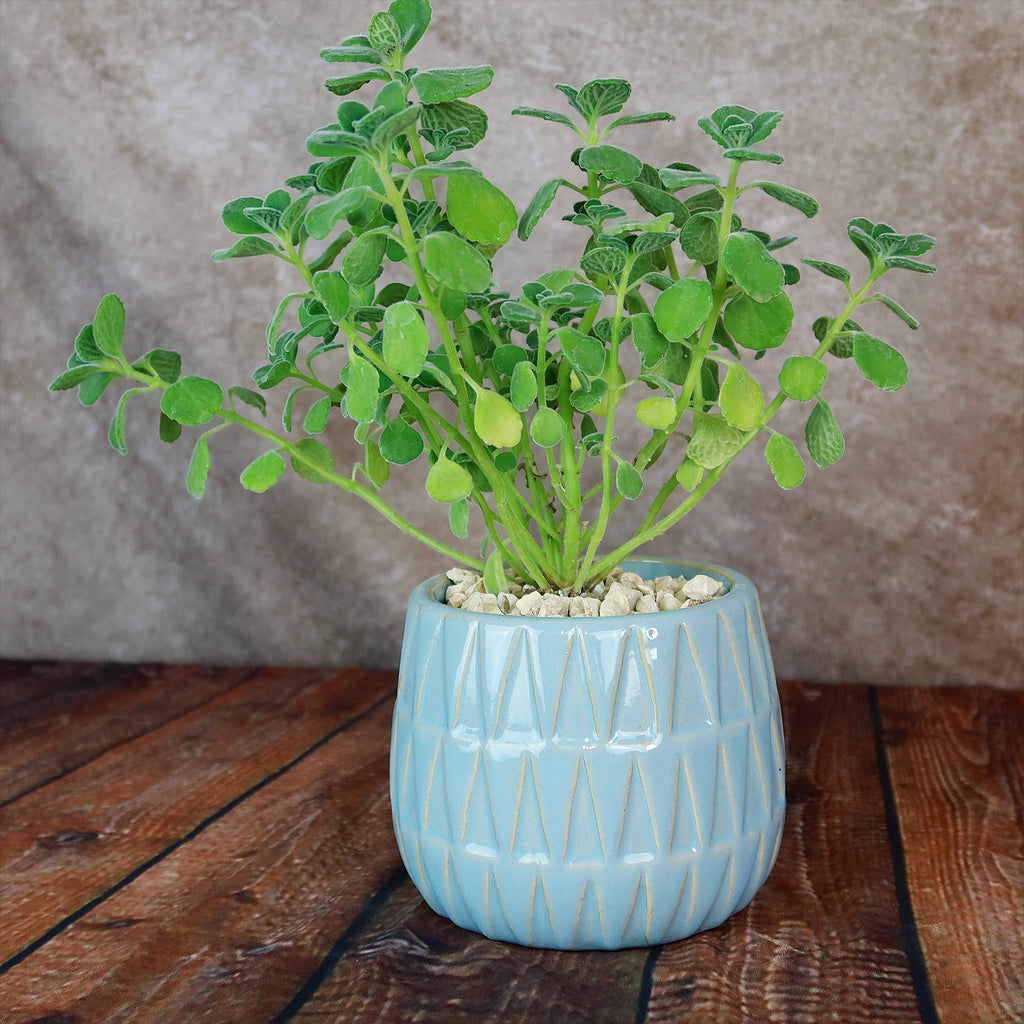 Triangular Print Reactive Glazed Pot