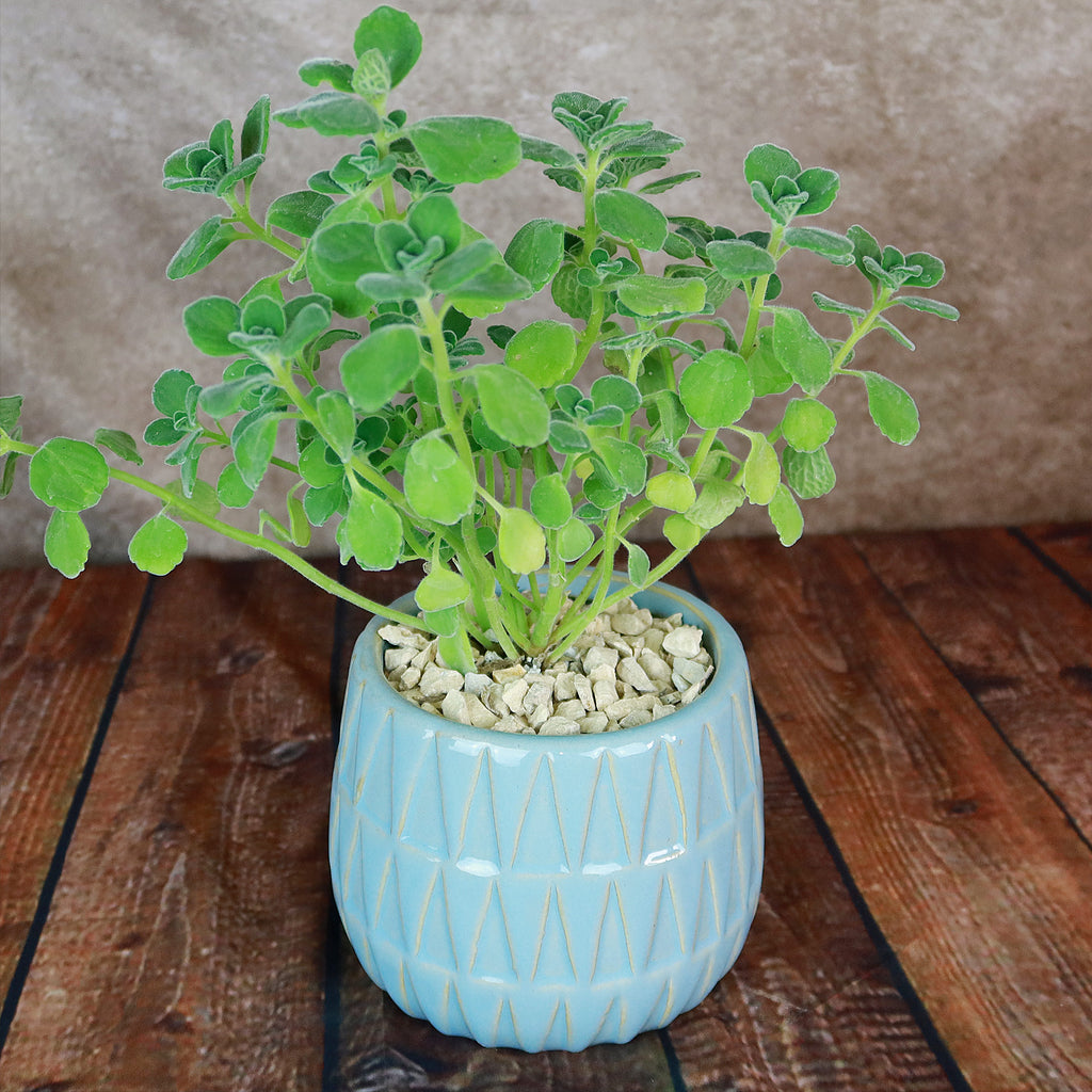 Triangular Print Reactive Glazed Pot