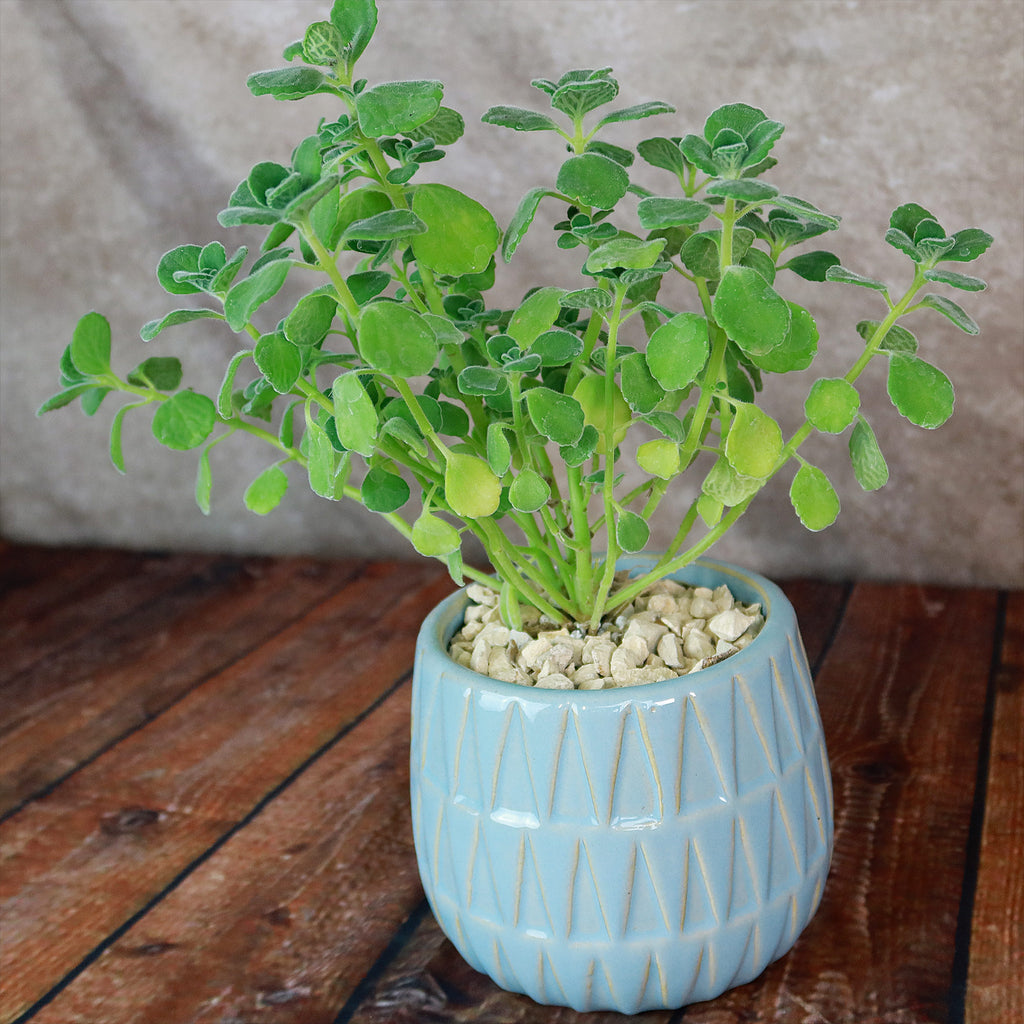 Triangular Print Reactive Glazed Pot