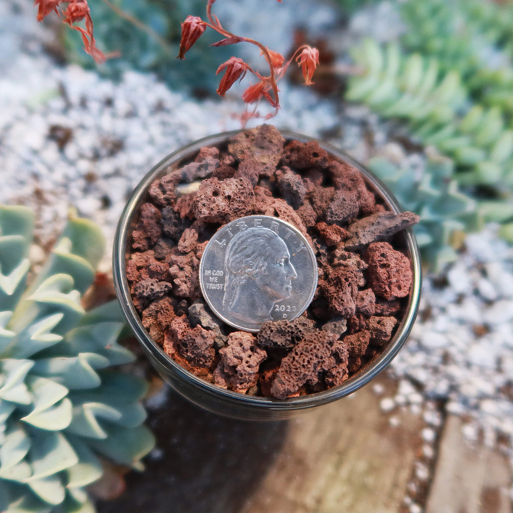 1 Lb 3/8 Red river rock Cactus and Succulent Top Soil Dressing