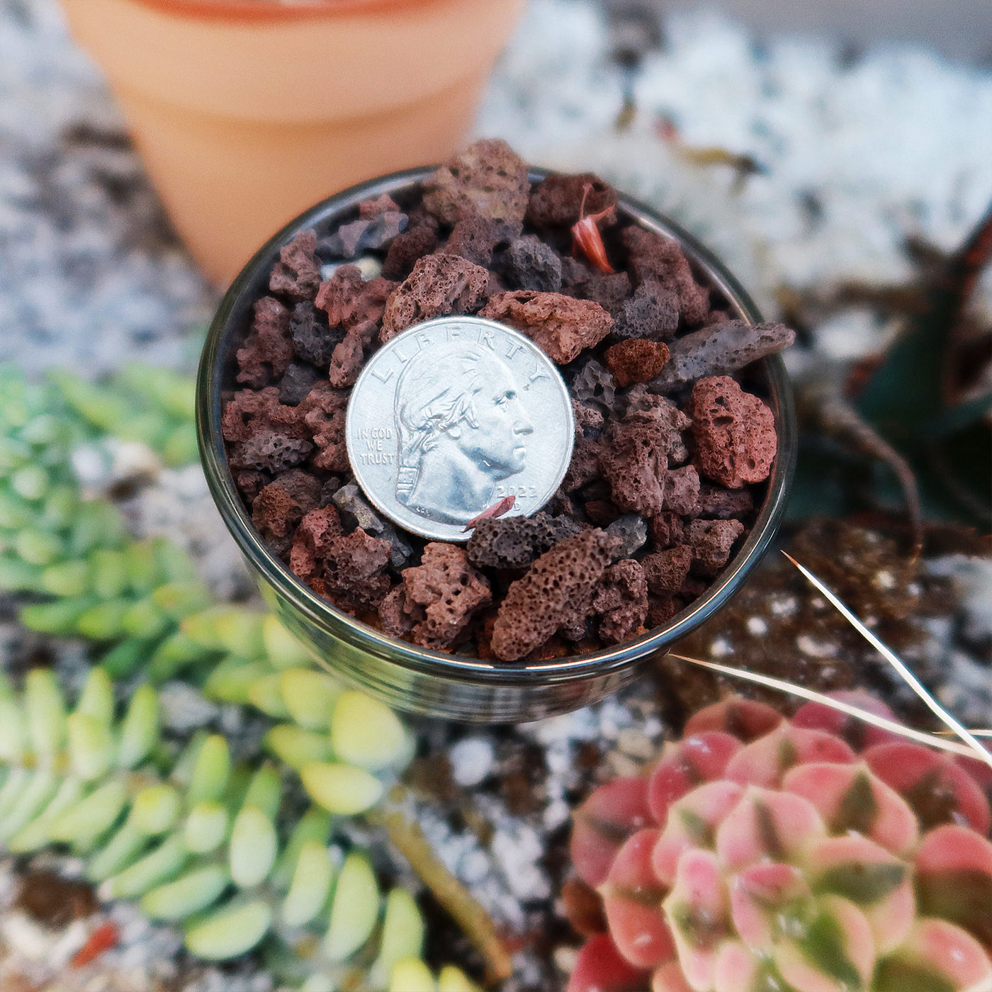 river rocks for succulents 1 Lb 3/8 Red river rock Cactus and Succulent Top Soil Dressing – Planet Desert