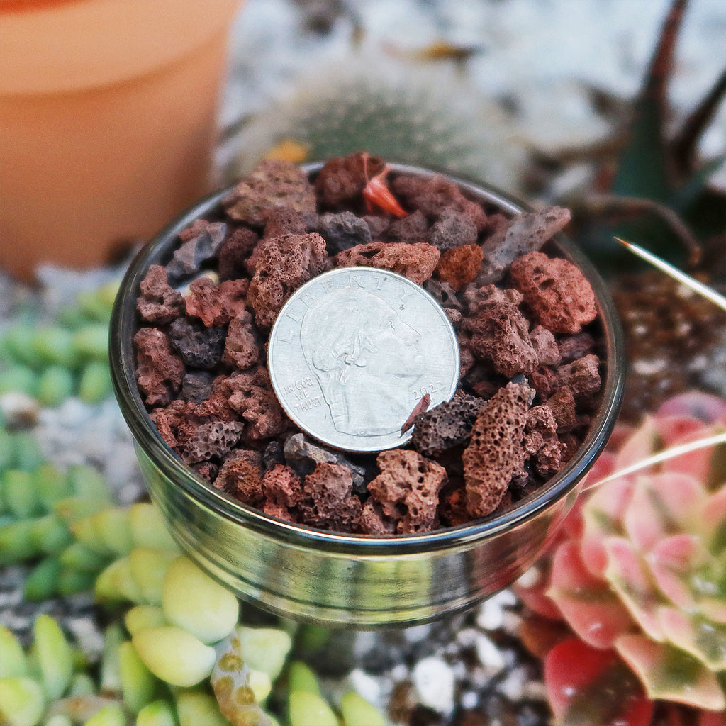 1 Lb 3/8 Red river rock Cactus and Succulent Top Soil Dressing