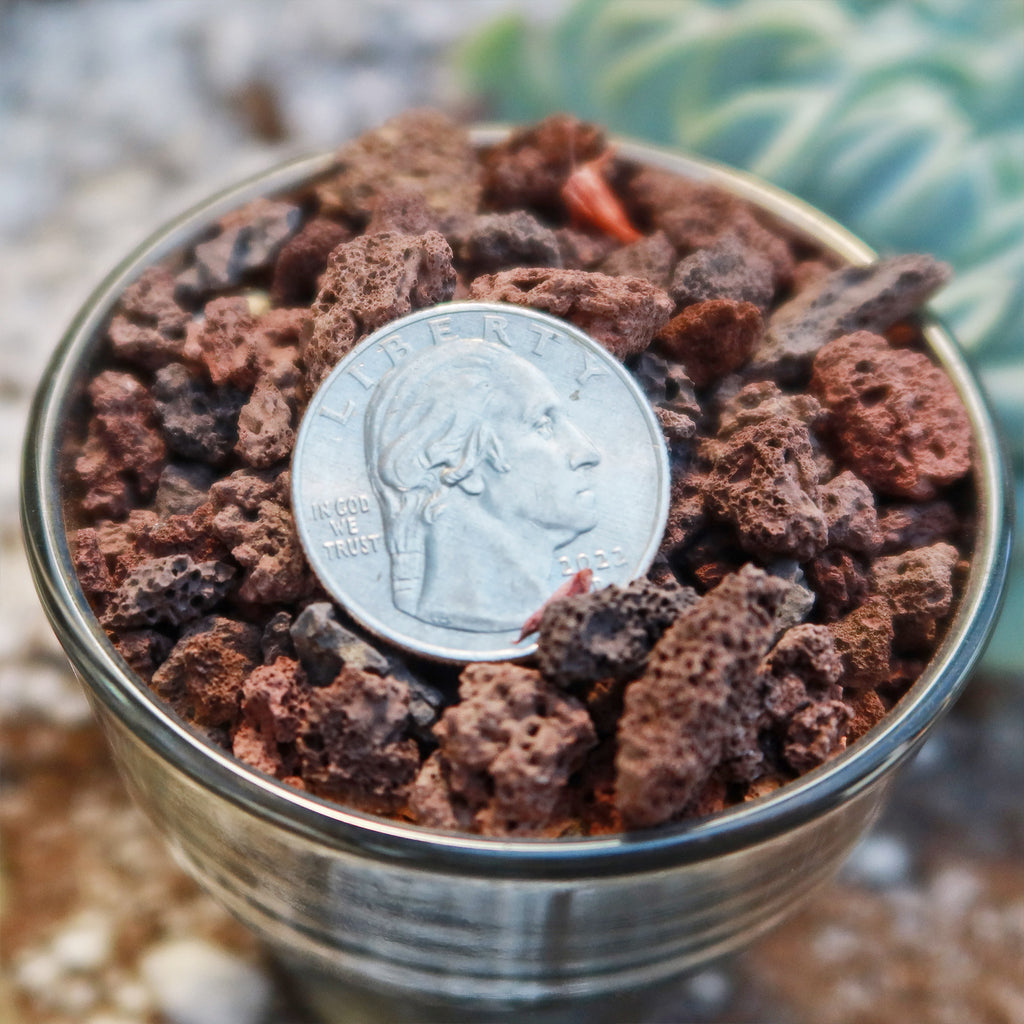 1 Lb 3/8 Red river rock Cactus and Succulent Top Soil Dressing