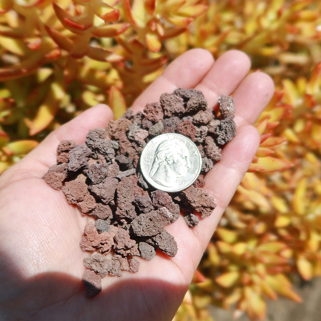 1 Lb 3/8 Red river rock Cactus and Succulent Top Soil Dressing