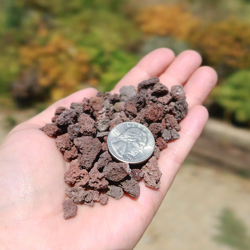 1 Lb 3/8 Red river rock Cactus and Succulent Top Soil Dressing