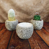 Ceramic Planter Rock Pot – Earthy Design for Cacti, Succulents & More
