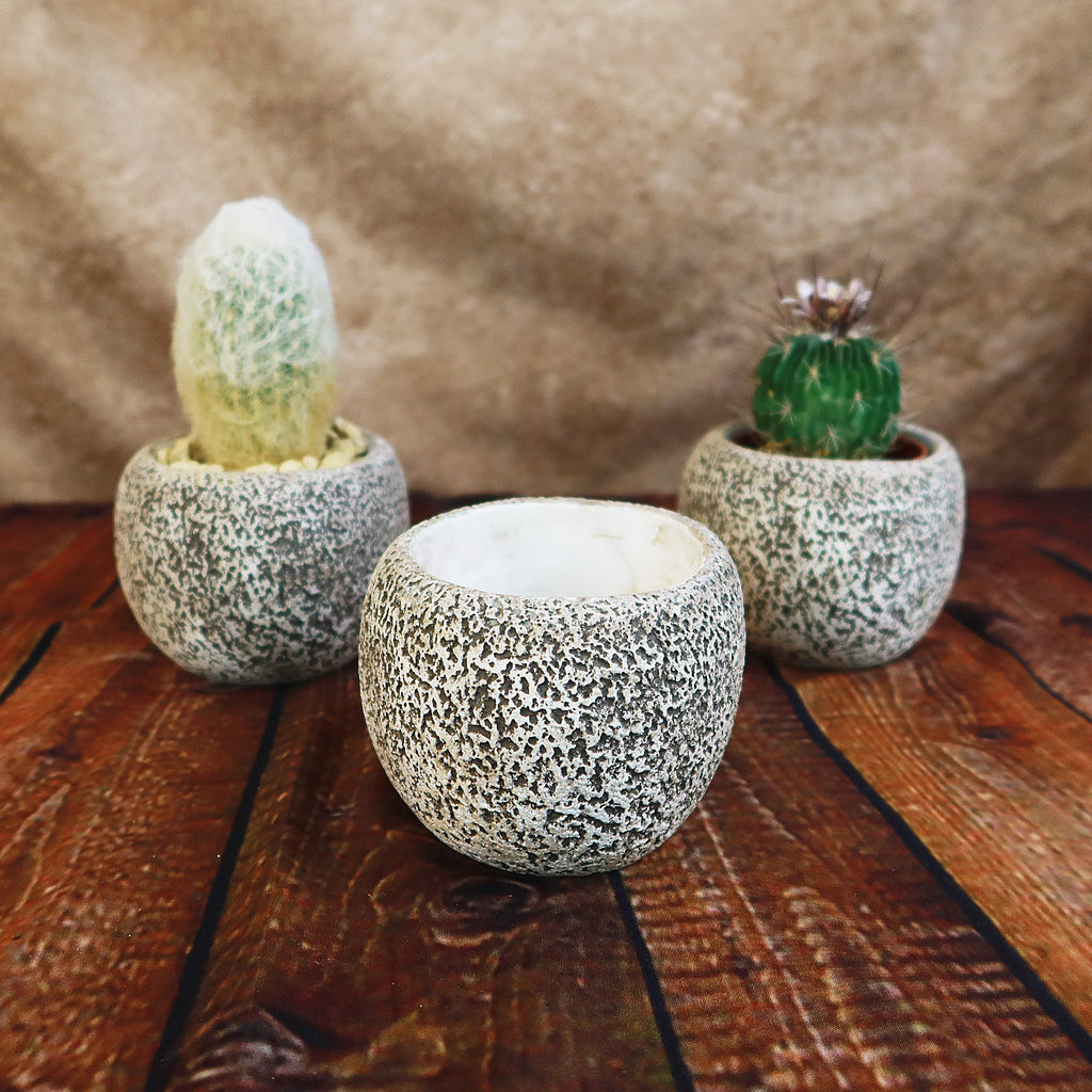 Ceramic Planter Rock Pot – Earthy Design for Cacti, Succulents & More