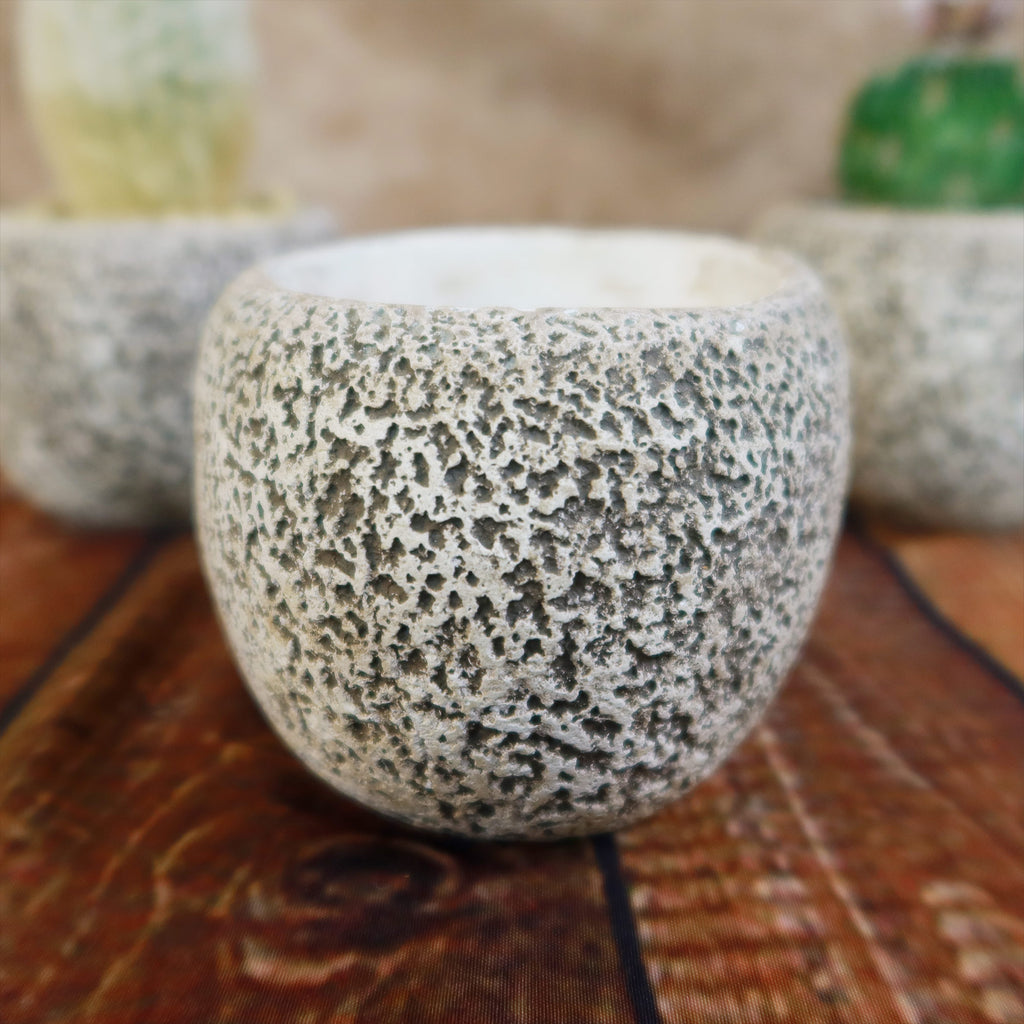 Ceramic Planter Rock Pot – Earthy Design for Cacti, Succulents & More