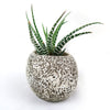 Ceramic Planter Rock Pot – Earthy Design for Cacti, Succulents & More