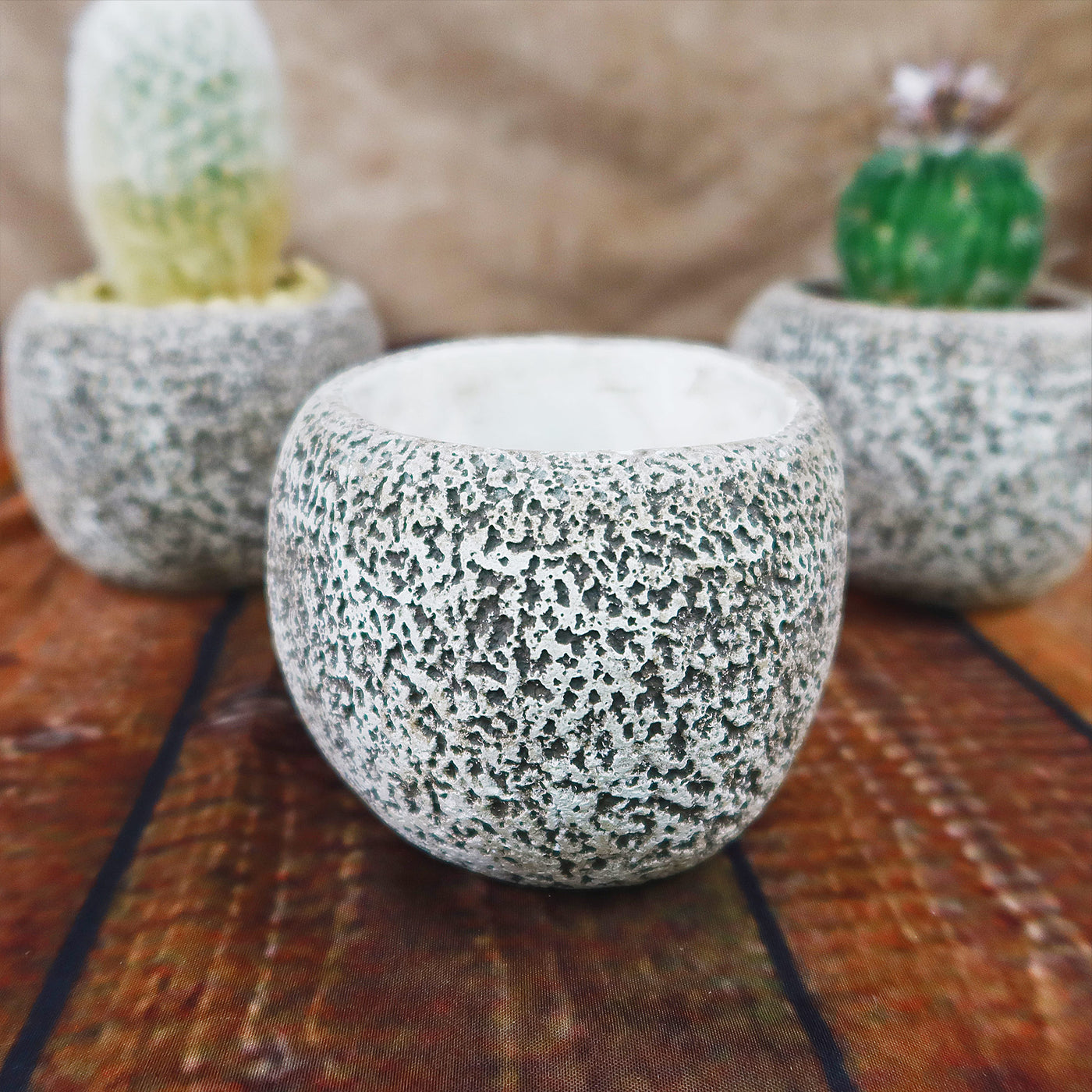 Ceramic Planter Rock Pot – Earthy Design for Cacti, Succulents & More –  Planet Desert