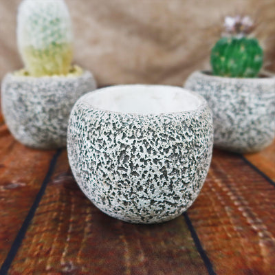 gray ceramic plant pot Ceramic Planter Rock Pot – Earthy Design for Cacti, Succulents & More –  Planet Desert
