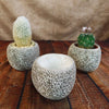 Ceramic Planter Rock Pot – Earthy Design for Cacti, Succulents & More