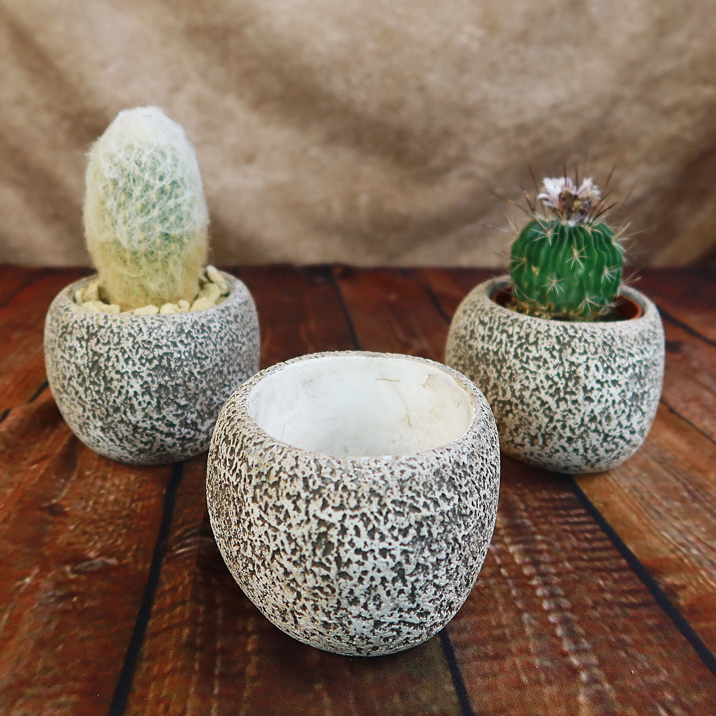 Ceramic Planter Rock Pot  Earthy Design for Cacti, Succulents & More   Planet Desert
