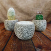 Ceramic Planter Rock Pot – Earthy Design for Cacti, Succulents & More