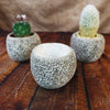 Ceramic Planter Rock Pot – Earthy Design for Cacti, Succulents & More