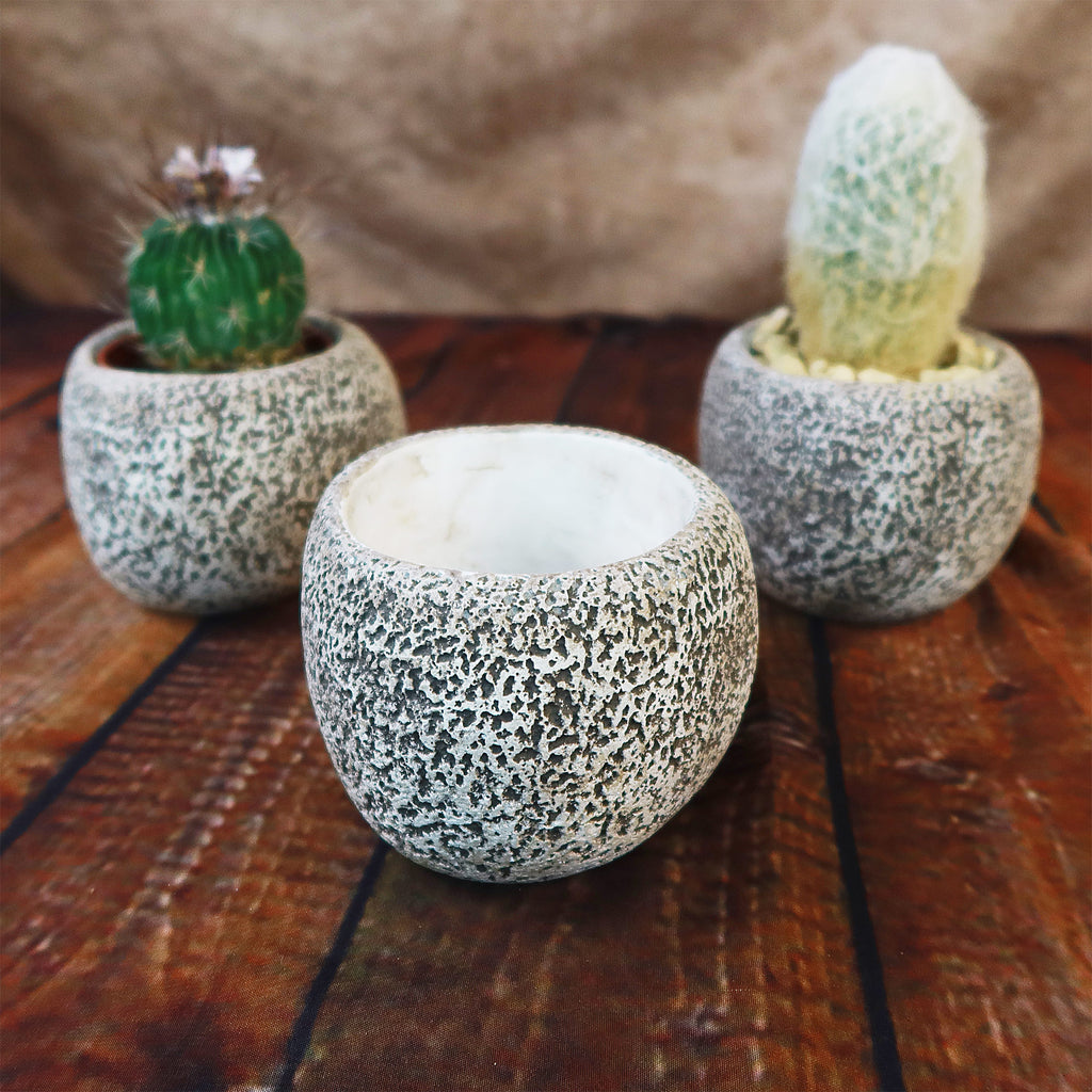 Ceramic Planter Rock Pot – Earthy Design for Cacti, Succulents & More