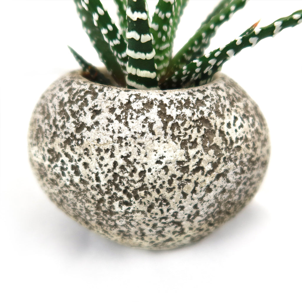 Ceramic Planter Rock Pot – Earthy Design for Cacti, Succulents & More