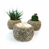 Ceramic Planter Rock Pot – Earthy Design for Cacti, Succulents & More