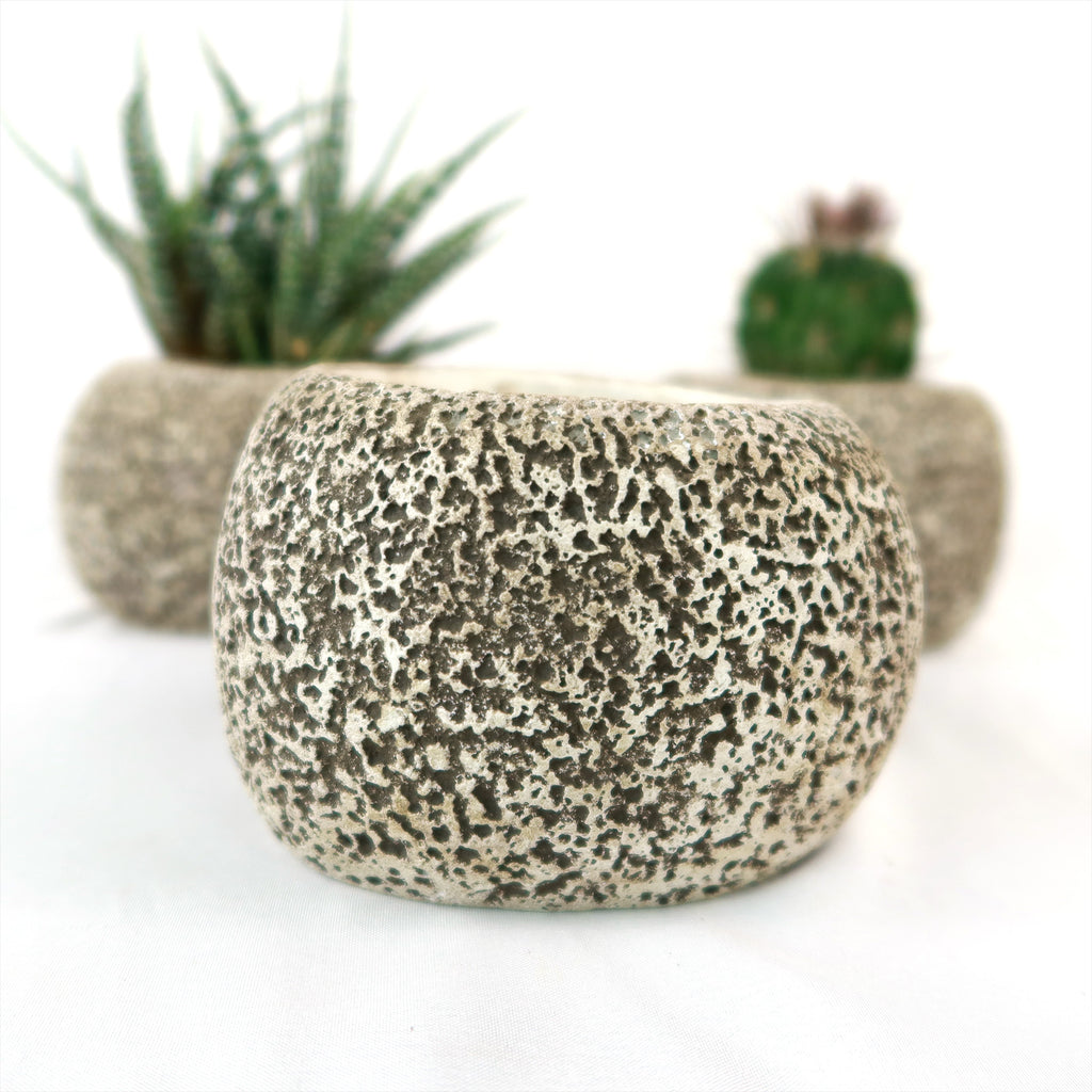 Ceramic Planter Rock Pot – Earthy Design for Cacti, Succulents & More
