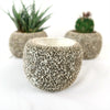Ceramic Planter Rock Pot – Earthy Design for Cacti, Succulents & More