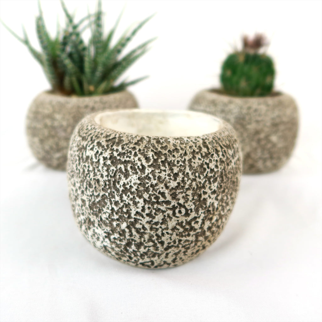 Ceramic Planter Rock Pot – Earthy Design for Cacti, Succulents & More