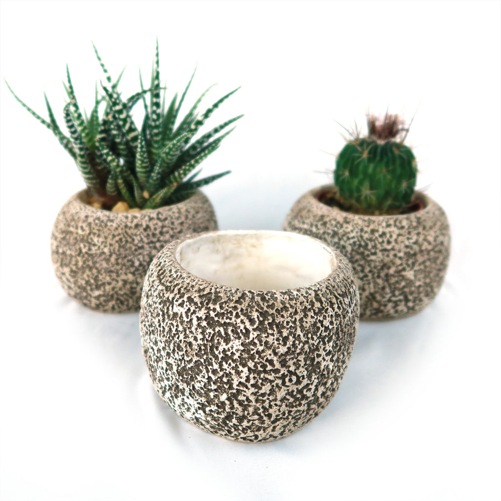 Ceramic Planter Rock Pot – Earthy Design for Cacti, Succulents & More