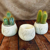 Ceramic Planter Rock Pot – Earthy Design for Cacti, Succulents & More