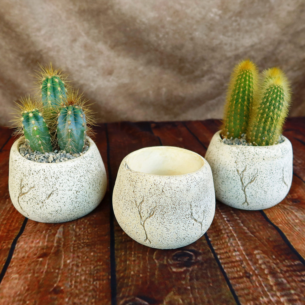 Ceramic Planter Rock Pot – Earthy Design for Cacti, Succulents & More