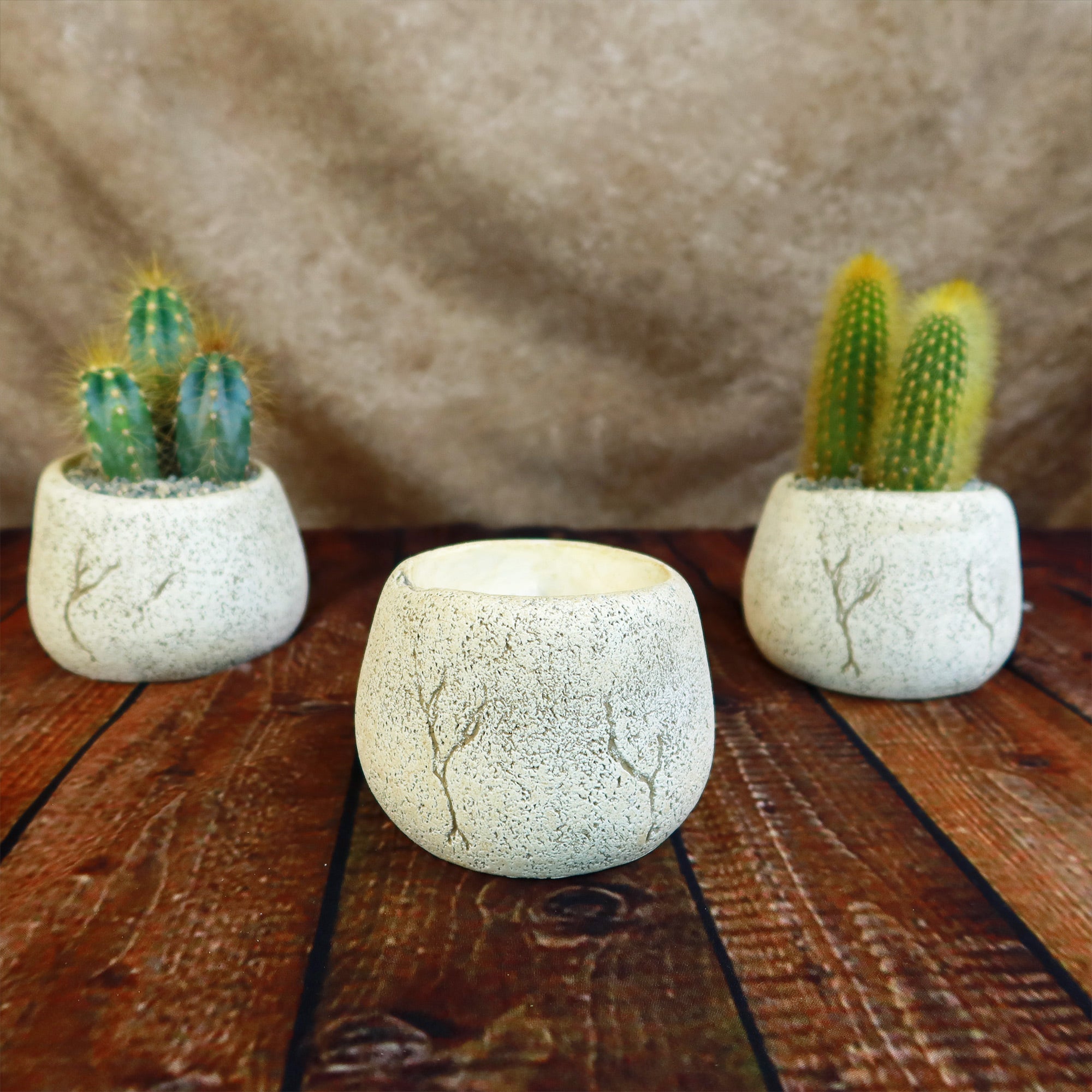 Ceramic Planter Rock Pot – Earthy Design for Cacti, Succulents & More