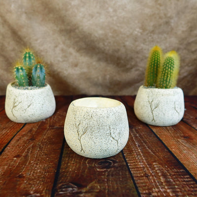 Ceramic Planter Rock Pot  Earthy Design for Cacti, Succulents & More 3" Pot / Brown