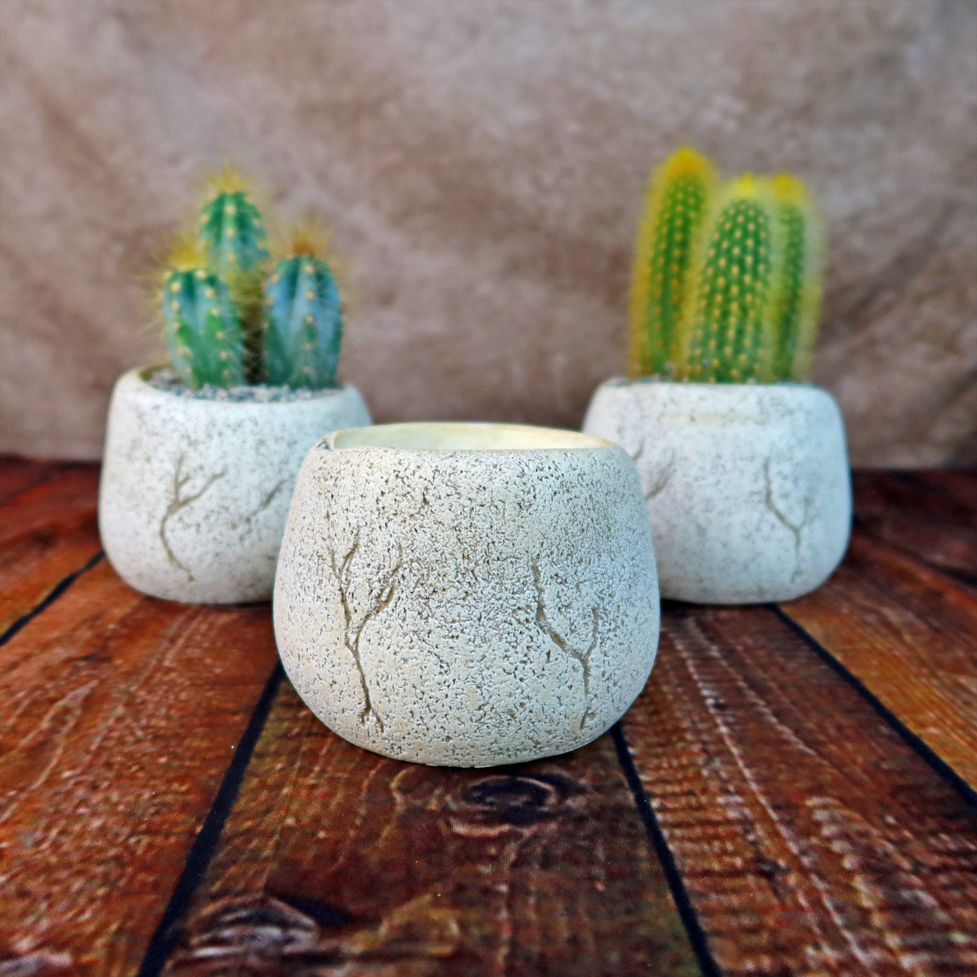 succulents cute pots Ceramic Planter Rock Pot – Earthy Design for Cacti, Succulents & More