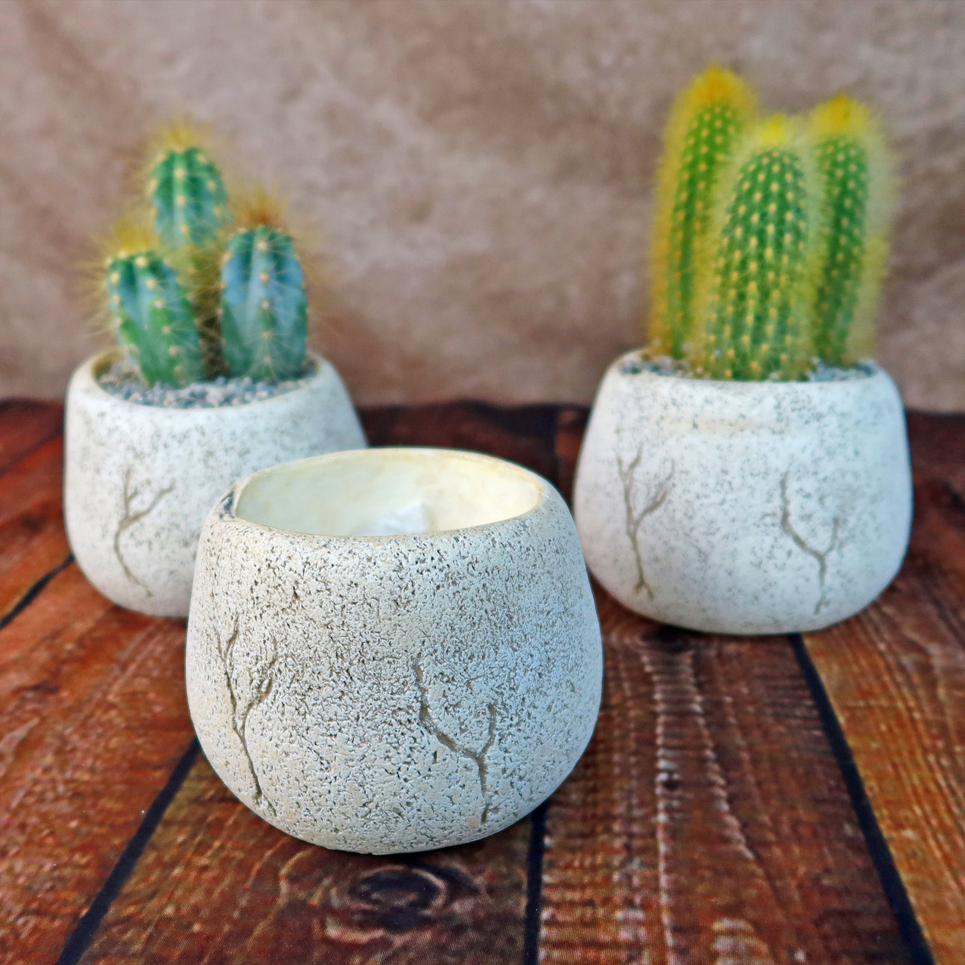 handmade succulent pots Ceramic Planter Rock Pot – Earthy Design for Cacti, Succulents & More
