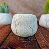 Ceramic Planter Rock Pot – Earthy Design for Cacti, Succulents & More