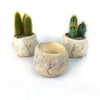 Ceramic Planter Rock Pot – Earthy Design for Cacti, Succulents & More