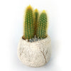 Ceramic Planter Rock Pot – Earthy Design for Cacti, Succulents & More