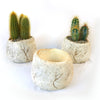 Ceramic Planter Rock Pot – Earthy Design for Cacti, Succulents & More
