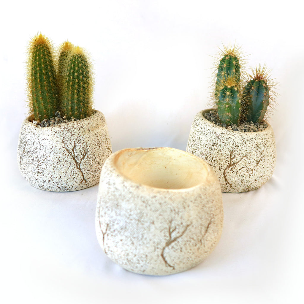 Ceramic Planter Rock Pot – Earthy Design for Cacti, Succulents & More