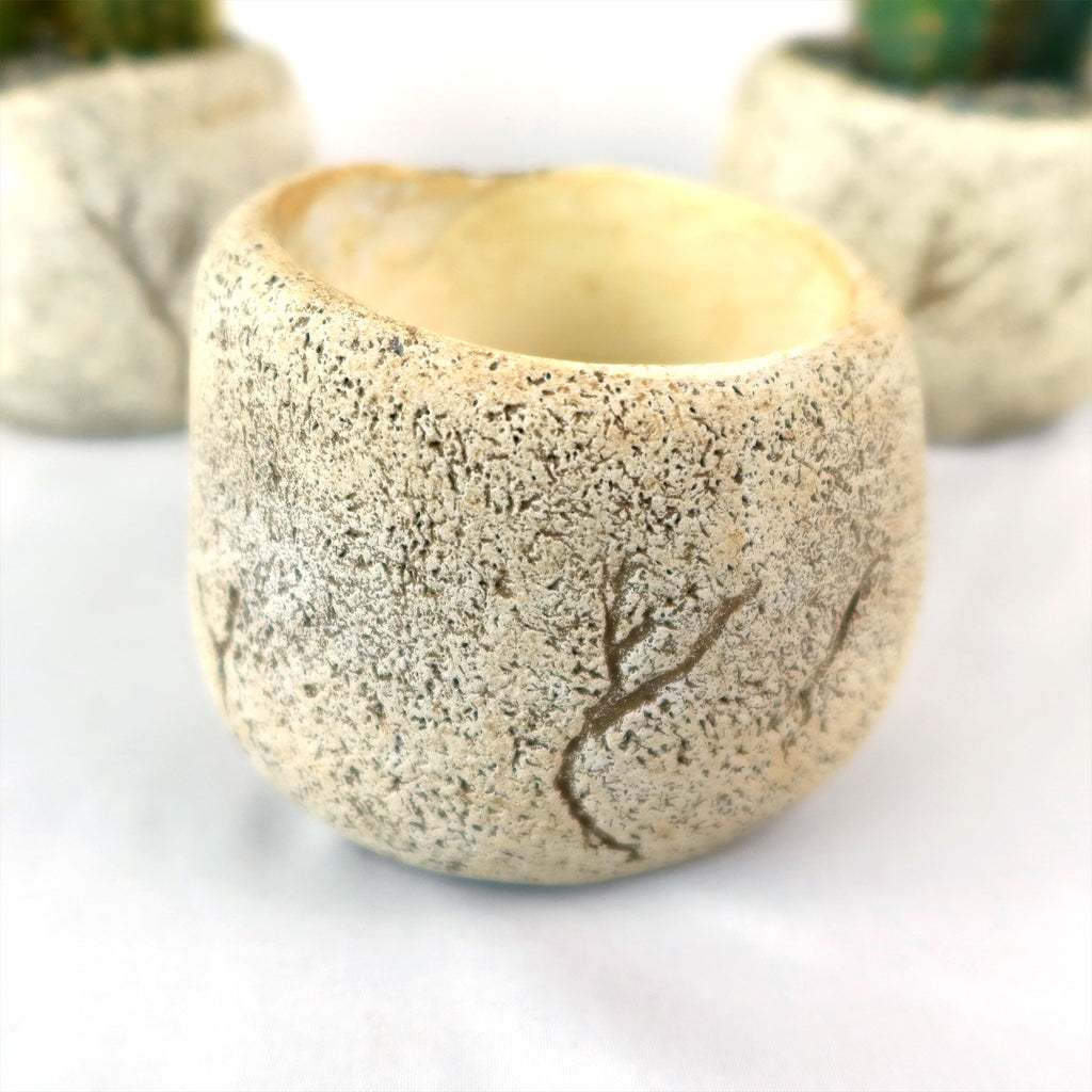 Ceramic Planter Rock Pot – Earthy Design for Cacti, Succulents & More
