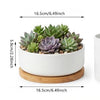 Front view of modern succulent planter with saucer in white plastic, shown with succulents, 16.5 cm wide and 5.8 cm high