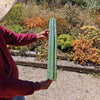 San Pedro Cactus Cuttings